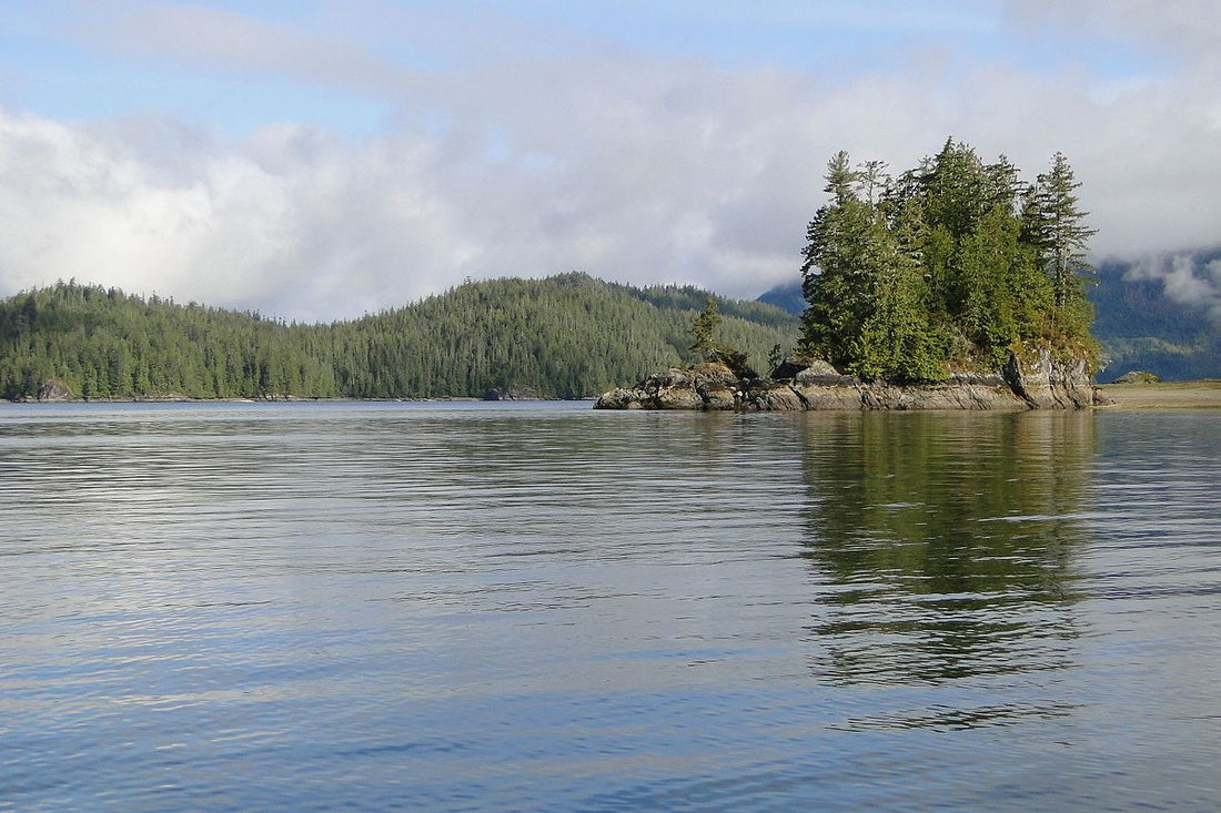 The History of Clayoquot Sound